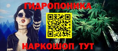 крисы Бузулук