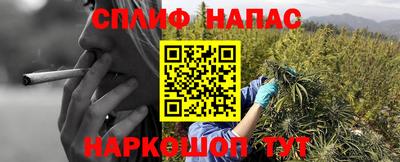 крисы Бузулук