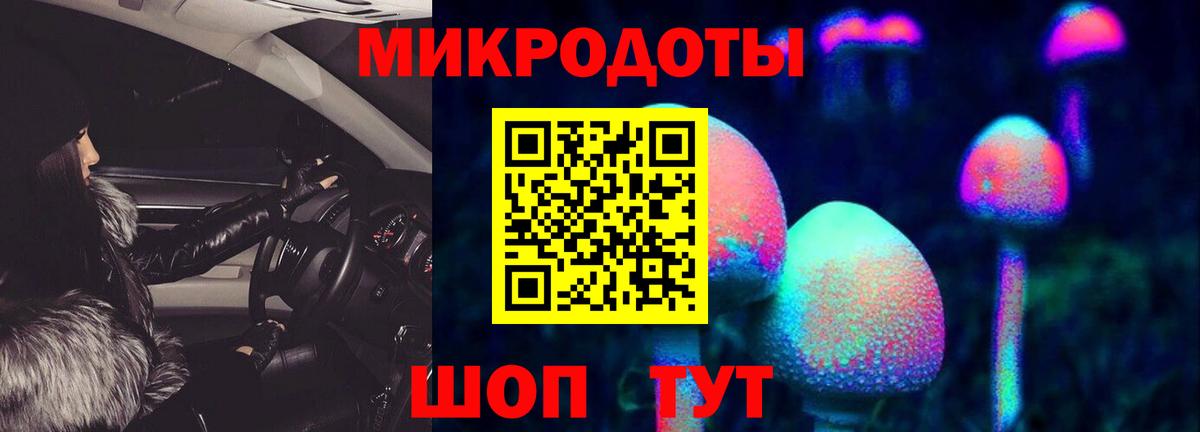 Псилоцибиновые грибы мицелий Старая Купавна